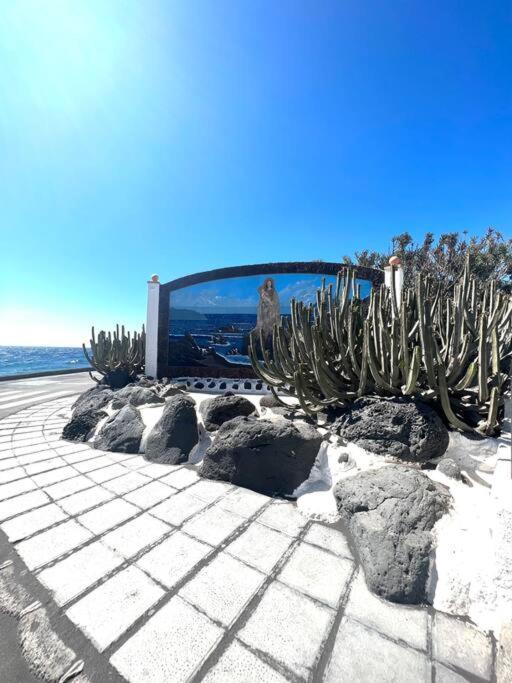 Villa Casa A 50 Metros De La Playa. Supreme Pedro El Socorro Exterior foto